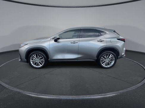 Used 2025 Lexus NX 350 AWD w/ Cold Area Package image 5