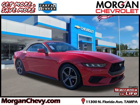 Used 2024 Ford Mustang Premium image 1