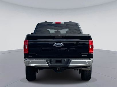 Used 2023 Ford F150 XLT w/ Equipment Group 302A High