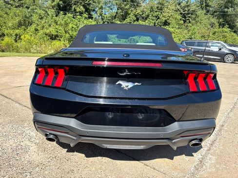 Used 2024 Ford Mustang Premium RWD image 6