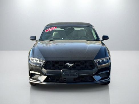 Used 2024 Ford Mustang Premium image 2
