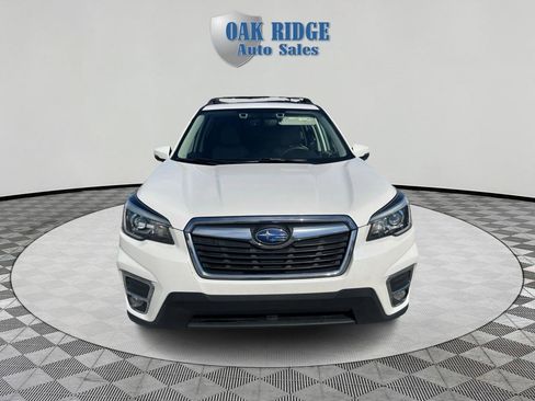 Used 2019 Subaru Forester Limited image 2