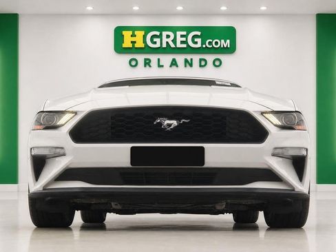 Used 2019 Ford Mustang Coupe w/ Equipment Group 101A RWD image 4