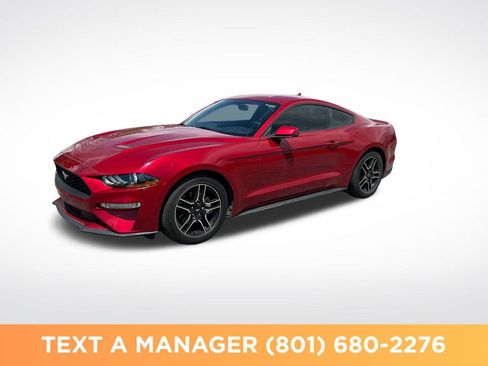 Used 2020 Ford Mustang Premium w/ Enhanced Security Package RWD image 1