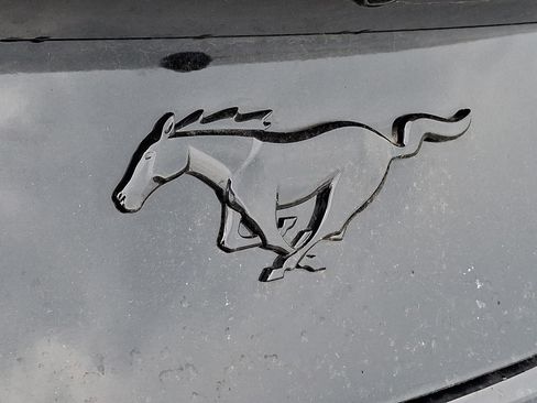 New 2025 Ford Mustang EcoBoost image 19