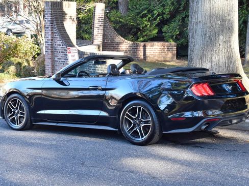 Used 2019 Ford Mustang Premium image 6