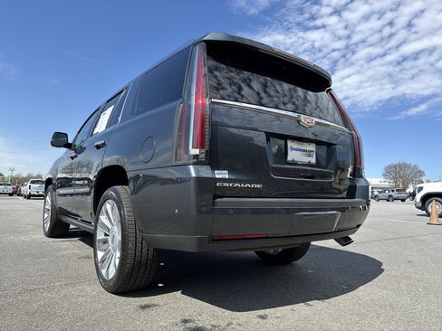 Used 2019 Cadillac Escalade Platinum image 8