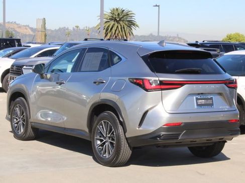 Certified 2025 Lexus NX 350h AWD w/ Cold Area Package image 19