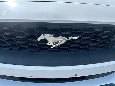 Used 2018 Ford Mustang Premium w/ Equipment Group 201A RWD image 9