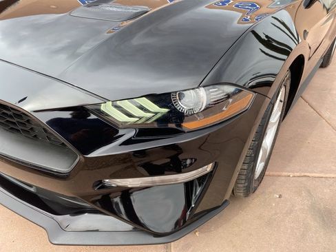 Used 2019 Ford Mustang Coupe image 3