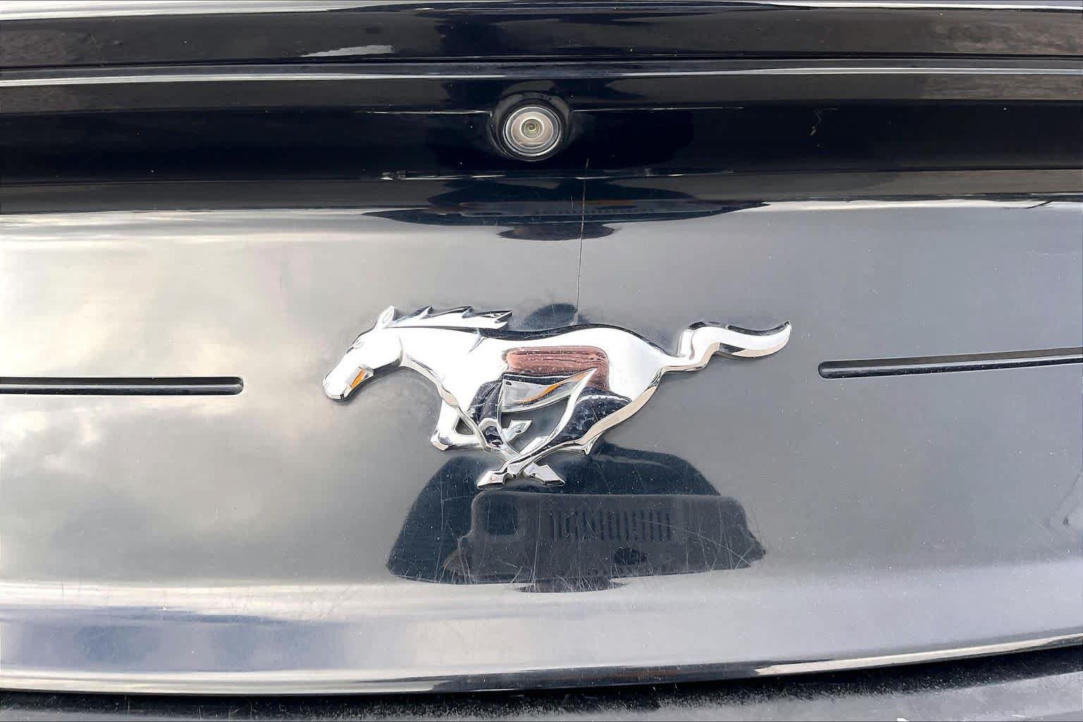 Used 2018 Ford Mustang Premium w/ Equipment Group 201A RWD image 30