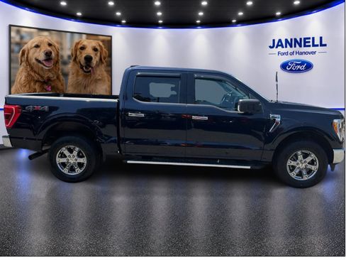 Used 2022 Ford F150 XLT w/ Equipment Group 302A High AWD/4WD image 4
