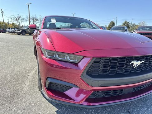 Used 2025 Ford Mustang Premium image 9