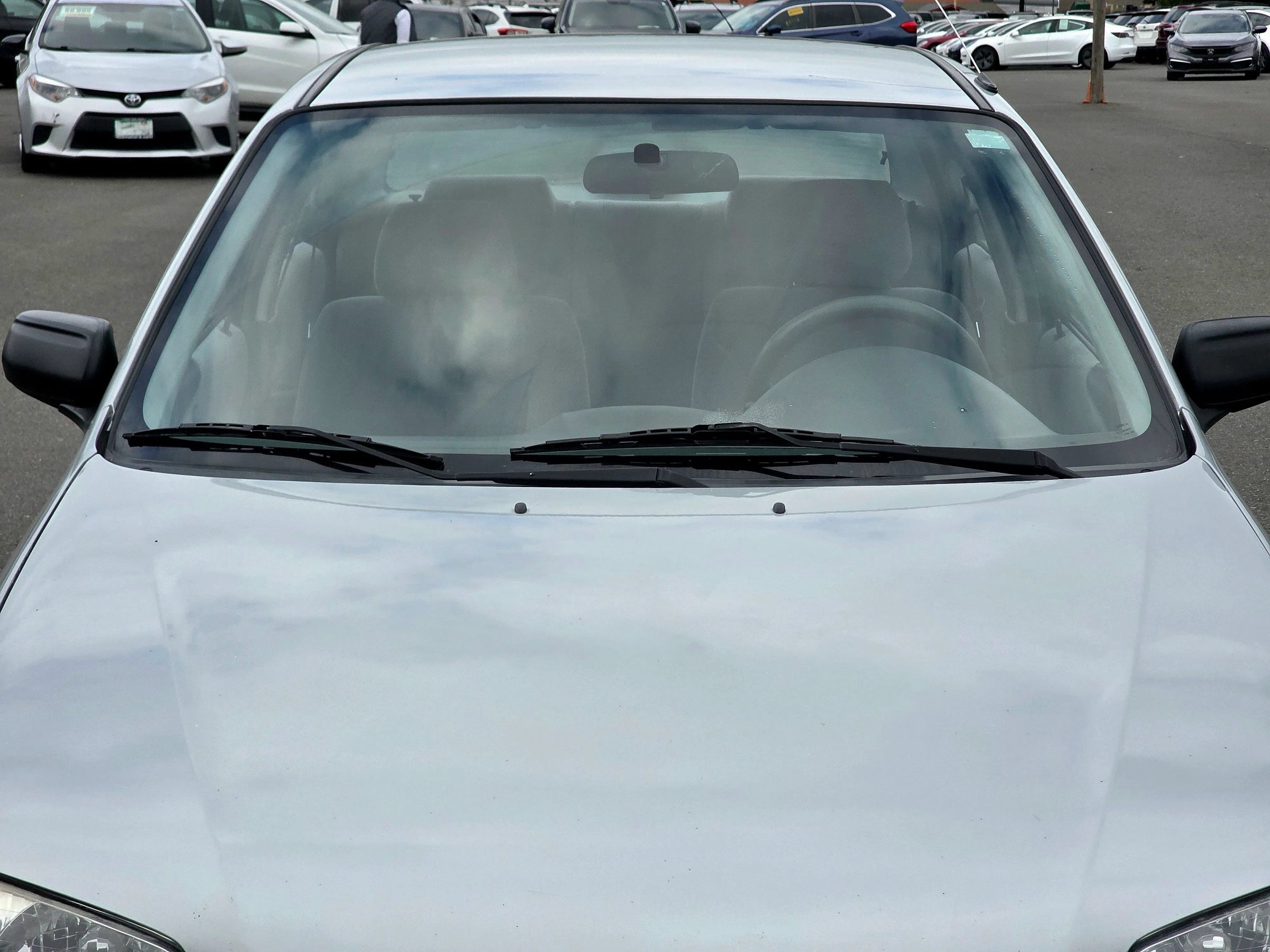 Used 1999 MAZDA Protege FWD image 3