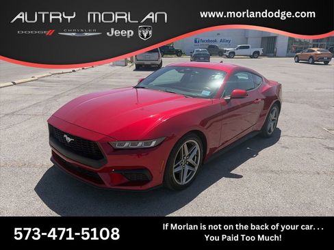 Used 2024 Ford Mustang Premium RWD image 1