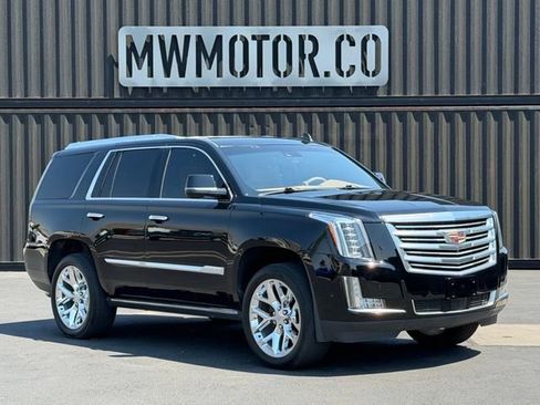 Used 2019 Cadillac Escalade Platinum AWD/4WD image 1