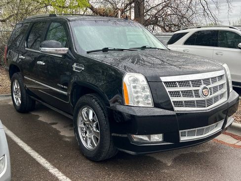 Used 2014 Cadillac Escalade Platinum image 2