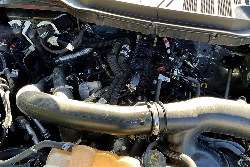 Used 2025 Ford F150 XLT w/ Equipment Group 301A Standard AWD/4WD image 32