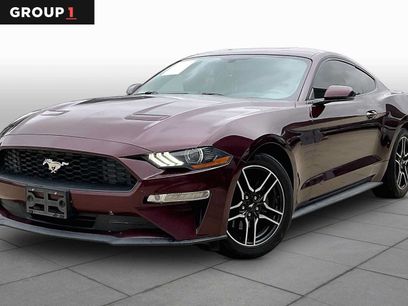 Used 2018 Ford Mustang Premium w/ Equipment Group 201A