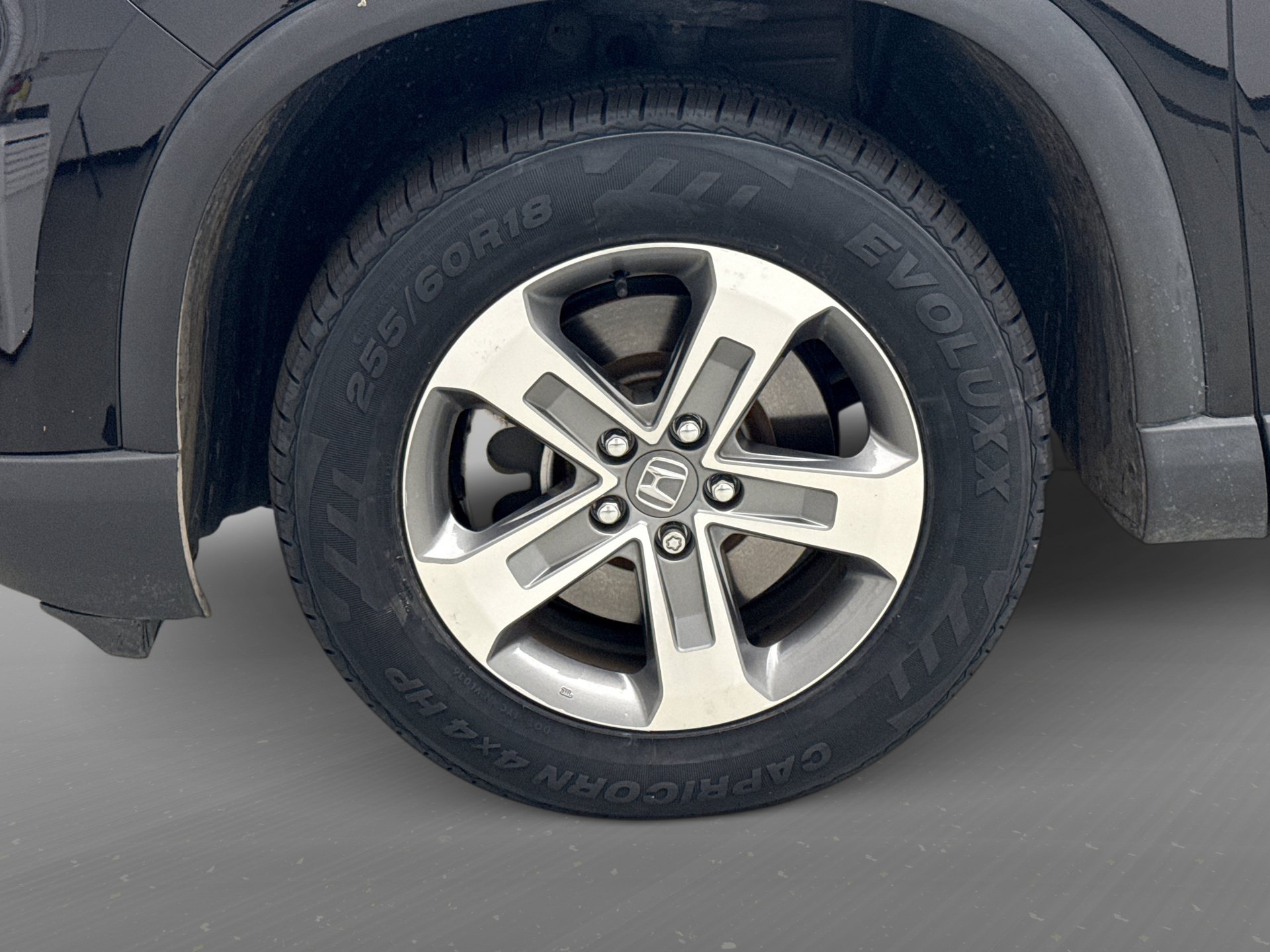 Used 2024 Honda Pilot EX-L image 12