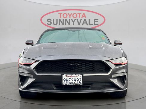 Used 2019 Ford Mustang Coupe w/ Equipment Group 101A image 10