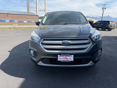 Used 2019 Ford Escape SE AWD/4WD image 6