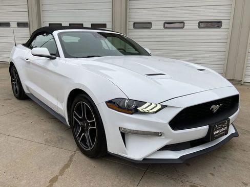 Used 2023 Ford Mustang Premium RWD image 2