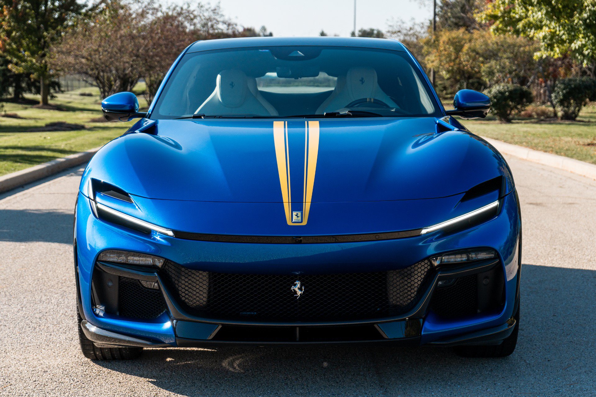 Used 2026 Ferrari Purosangue AWD/4WD image 2