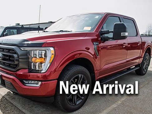 Used 2022 Ford F150 XLT w/ Equipment Group 302A High image 1