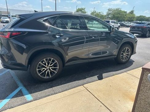 Used 2025 Lexus NX 350h AWD w/ Cold Area Package image 2