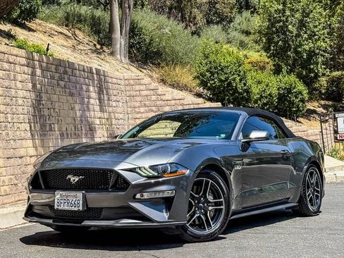 Used 2019 Ford Mustang GT Premium w/ Equipment Group 401A RWD image 3