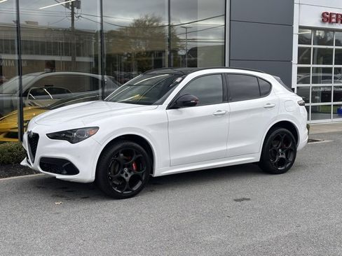 New 2025 Alfa Romeo Stelvio Tributo Italiano image 1