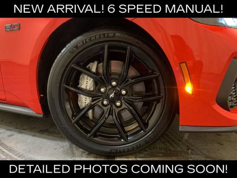 Used 2025 Ford Mustang GT RWD image 9
