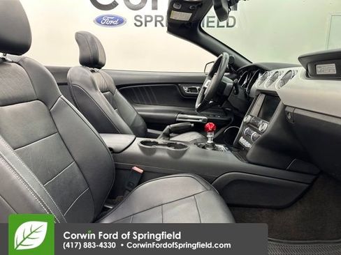 Used 2015 Ford Mustang GT Premium w/ Equipment Group 401A image 9