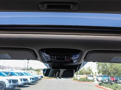 New 2025 Kia Carnival SX Prestige image 18