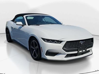 Certified 2024 Ford Mustang Premium
