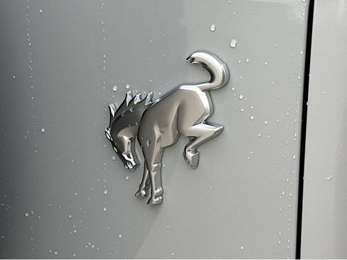 New 2026 Ford Bronco Badlands AWD/4WD image 20