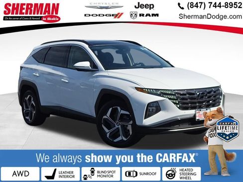 Used 2024 Hyundai Tucson Limited AWD/4WD image 1