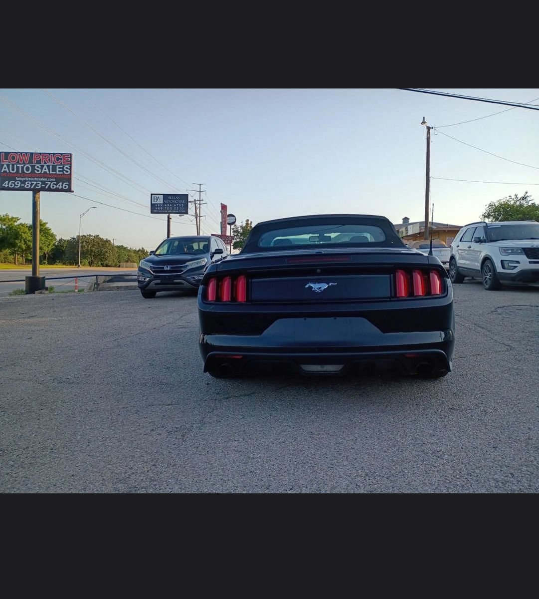 Used 2017 Ford Mustang Premium RWD image 4
