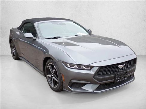 Used 2024 Ford Mustang Premium image 6