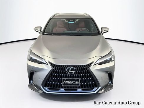 Certified 2023 Lexus NX 350 AWD image 2