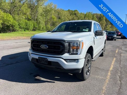 Used 2021 Ford F150 XLT w/ Equipment Group 302A High AWD/4WD image 1