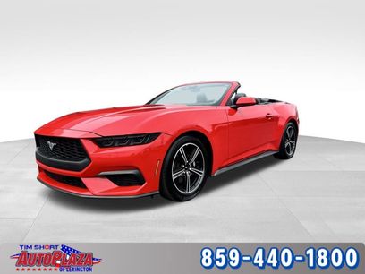 Used 2025 Ford Mustang Premium