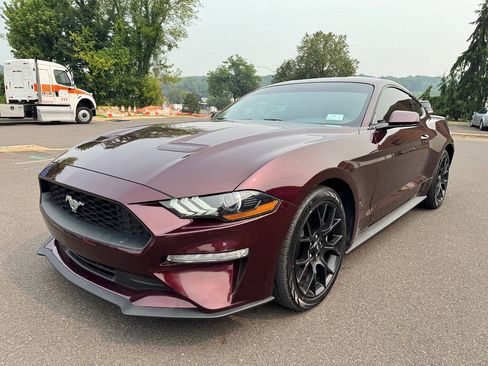 Used 2018 Ford Mustang Coupe w/ Ecoboost Performance Package RWD image 2