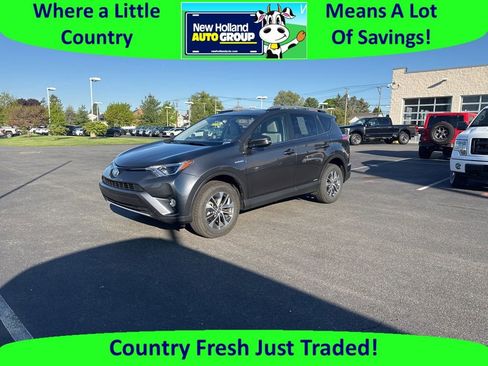 Used 2016 Toyota RAV4 XLE AWD/4WD image 1