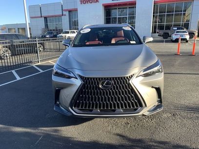 Used 2025 Lexus NX 350h AWD w/ Cold Area Package
