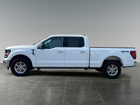 Used 2025 Ford F150 XLT w/ Equipment Group 301A Standard AWD/4WD image 5