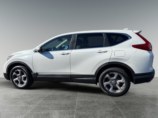 Used 2019 Honda CR-V EX-L image 5
