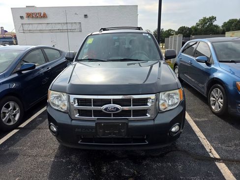 Used 2009 Ford Escape XLT AWD/4WD image 1