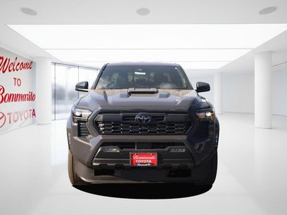 New 2025 Toyota Tacoma TRD Sport